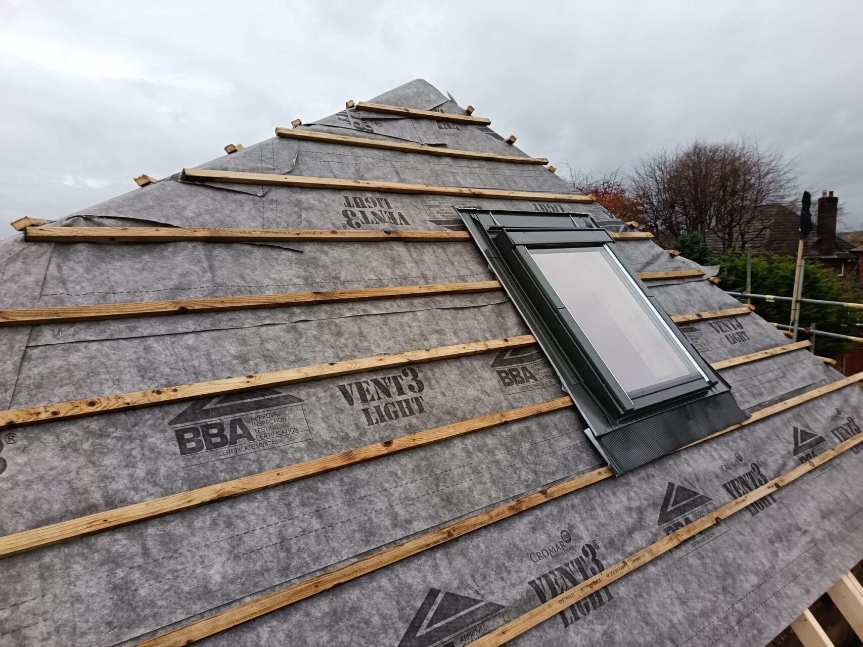Northwest Baner Image